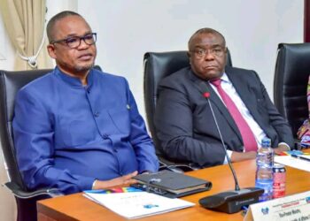 Sécurité et défense : Peter Kazadi et Jean-Pierre Bemba se mettent au travail