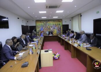 9e Jeux de la francophonie: les préparatifs avancent bien (Gouvernement)