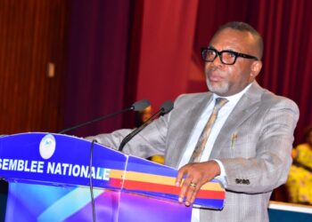 RDC : Courant de Tubi Tubidi, Serkas Kasanda recommande au DG de la SNEL d&rsquo;alimenter Tshilundu, Boya et Miabi avant Mbujimayi