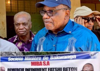 Relance de la MIBA : voici pourquoi le Directeur général ai Paulin Lukusa remercie le Chef de l&rsquo;État