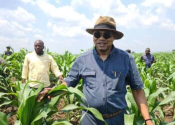 Agriculture: À Ngandajika, le ministre Mpanda annonce le lancement « d&rsquo;un projet de parc agro-industriel pour mettre fin à la crise de maïs »