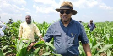 Agriculture: À Ngandajika, le ministre Mpanda annonce le lancement « d&rsquo;un projet de parc agro-industriel pour mettre fin à la crise de maïs »