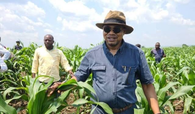 Agriculture: À Ngandajika, le ministre Mpanda annonce le lancement « d&rsquo;un projet de parc agro-industriel pour mettre fin à la crise de maïs »