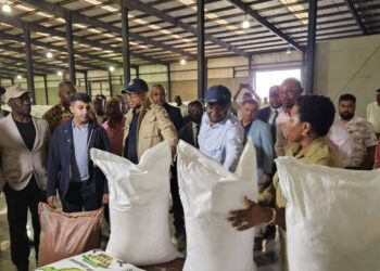 Autosuffisance alimentaire : José Mpanda, Nicolas Kazadi, Julien Paluku et Jean-Lucien Bussa en mission d&rsquo;inspection à Kasenga