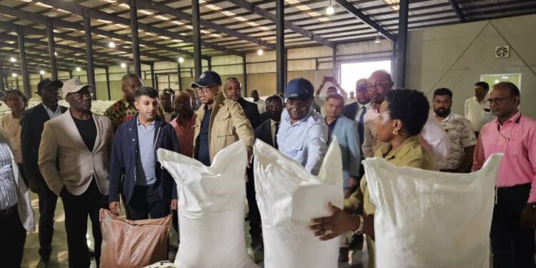 Autosuffisance alimentaire : José Mpanda, Nicolas Kazadi, Julien Paluku et Jean-Lucien Bussa en mission d&rsquo;inspection à Kasenga