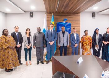 Élections : le Centre Carter exprime à Dénis Kadima son intention de déployer une mission d&rsquo;observation électorale