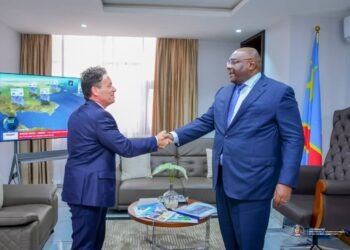 La RDC et le Brésil envisagent d&rsquo;intensifier leur coopération dans le secteur de la défense et de l&rsquo;aviation