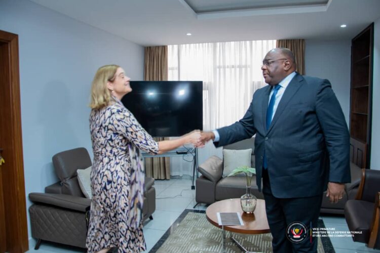 Les Pays-Bas plaident pour une solution diplomatique à la crise congolo-rwandaise