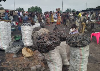 Flambée du prix de la braise à Mbujimayi : à 50.000fc le sac, les ménages paient un lourd tribut