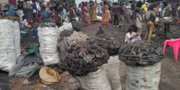 Flambée du prix de la braise à Mbujimayi : à 50.000fc le sac, les ménages paient un lourd tribut