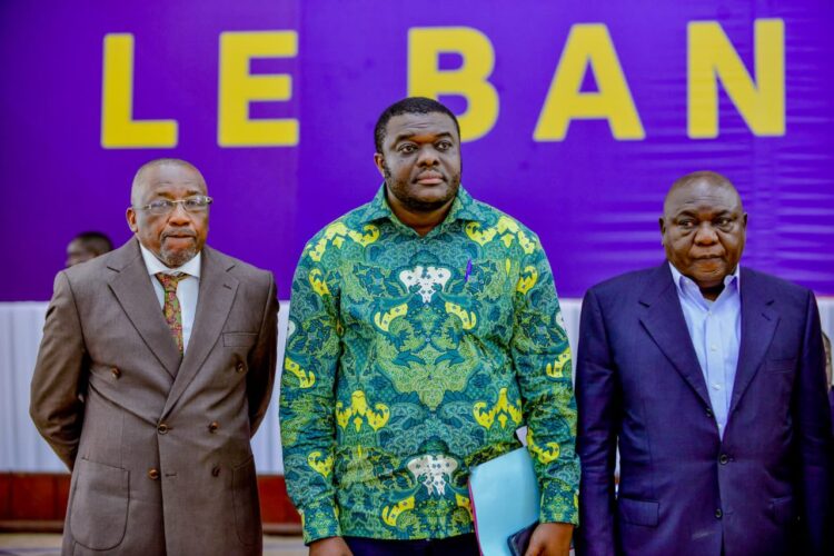 Assemblée nationale : Mboso installe le bureau de la commission chargée d&rsquo;élaborer le règlement intérieur