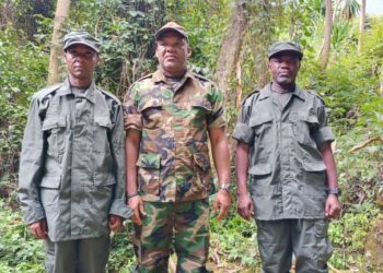 RDC : le CSAC demande aux médias de s&rsquo;abstenir d&rsquo;accorder la parole aux forces négatives