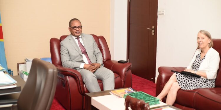 Kinshasa : Violences contre les missions diplomatiques, Peter Kazadi donne des garanties de sécurité à l&rsquo;ambassadrice américaine