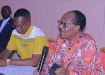 Mwene Ditu : Mpunga Mushamusha remplace Martin Tshipama, l’unique député national de Lomami invalidé par la cour constitutionnelle