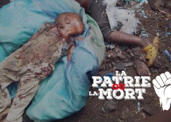 Attaque de Goma par le M23 : « ces crimes odieux ne resteront pas impunis » (Tobie Kayumbi)