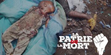 Attaque de Goma par le M23 : « ces crimes odieux ne resteront pas impunis » (Tobie Kayumbi)