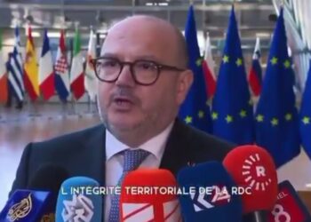 RDC : la Belgique appelle à des actions pour contraindre le Rwanda à se retirer du territoire congolais