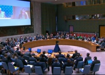 Conseil de sécurité de l&rsquo;ONU : la France appelle à l&rsquo;arrêt de l&rsquo;offensive de l&rsquo;armée rwandaise sur le territoire congolais