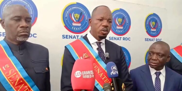 RDC : au Sénat, Danny Kabongo dépose une pétition pour la destitution de Bahati Lukwebo