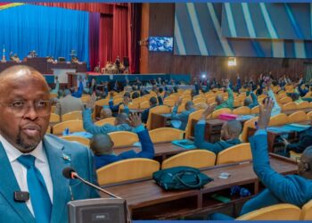 RDC : Motion contre le VPM Shabani, l’Assemblée nationale botte en touche ?
