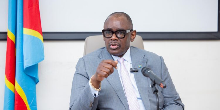 RDC : le Gouvernement s&rsquo;active pour un ambitieux projet d’exploitation du cuivre à Miabi et Kabeya Kamwanga