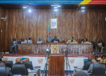 Kasaï-Oriental : tensions à l’Assemblée provinciale autour du contrôle de l’exécutif et de la déchéance  du vice-président
