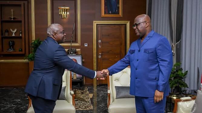 RDC | Le Chef de l&rsquo;IGF présente au Président Tshisekedi le nouveau plan stratégique de son service