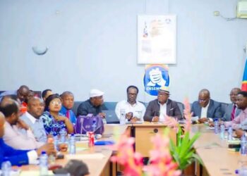 RDC | La Coalition Article 64 conteste l&rsquo;arrêt de la Cour constitutionnelle sur la loi portant organisation du référendum