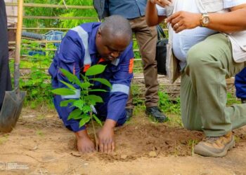Agriculture : Mohindo Nzangi lance la campagne agricole saison A ce vendredi au Kasaï-Oriental