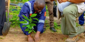 Agriculture : Mohindo Nzangi lance la campagne agricole saison A ce vendredi au Kasaï-Oriental