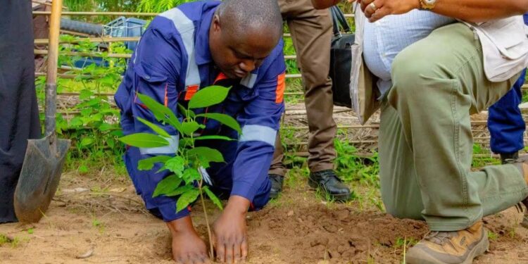 Agriculture : Mohindo Nzangi lance la campagne agricole saison A ce vendredi au Kasaï-Oriental
