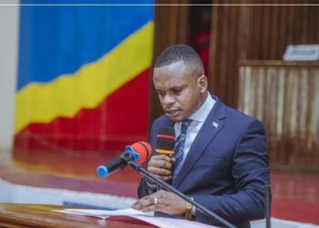 Kasaï-Oriental : Le député Hilaire Ntendayi relève les failles du plan provincial de développement, entre plagiat présumé, données erronées et prévisions dépassées