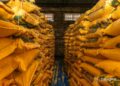 RDC : Le Ministère de l’économie nationale déploie 7500 sacs de farine à Mbujimayi pour soulager la population